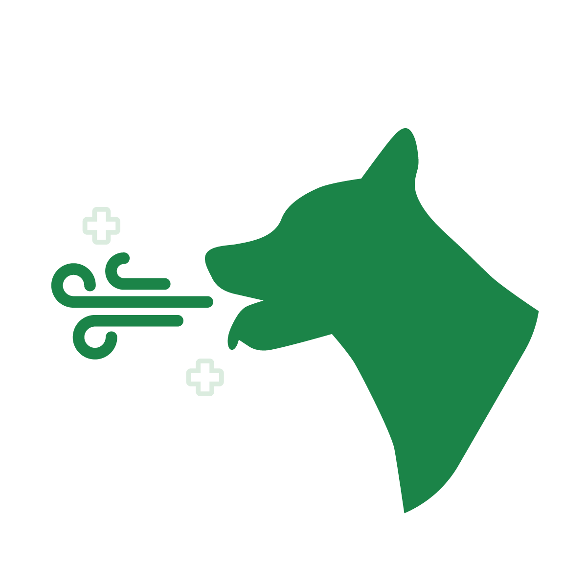 Breath Odour Control