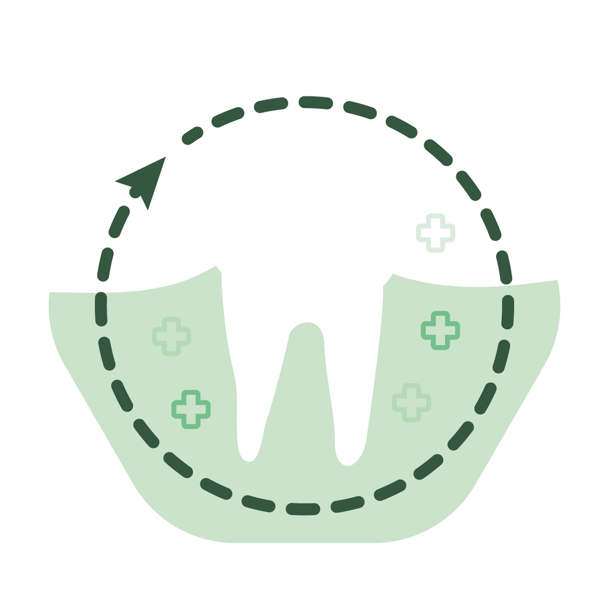 Optimised Oral Health
